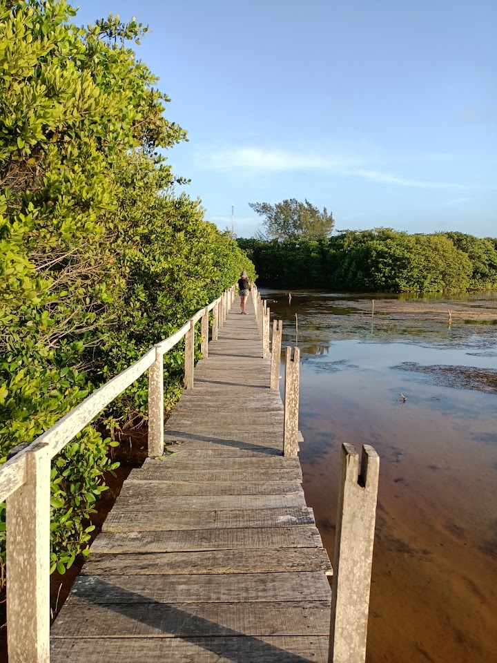 Mirador Charcas de Sisal