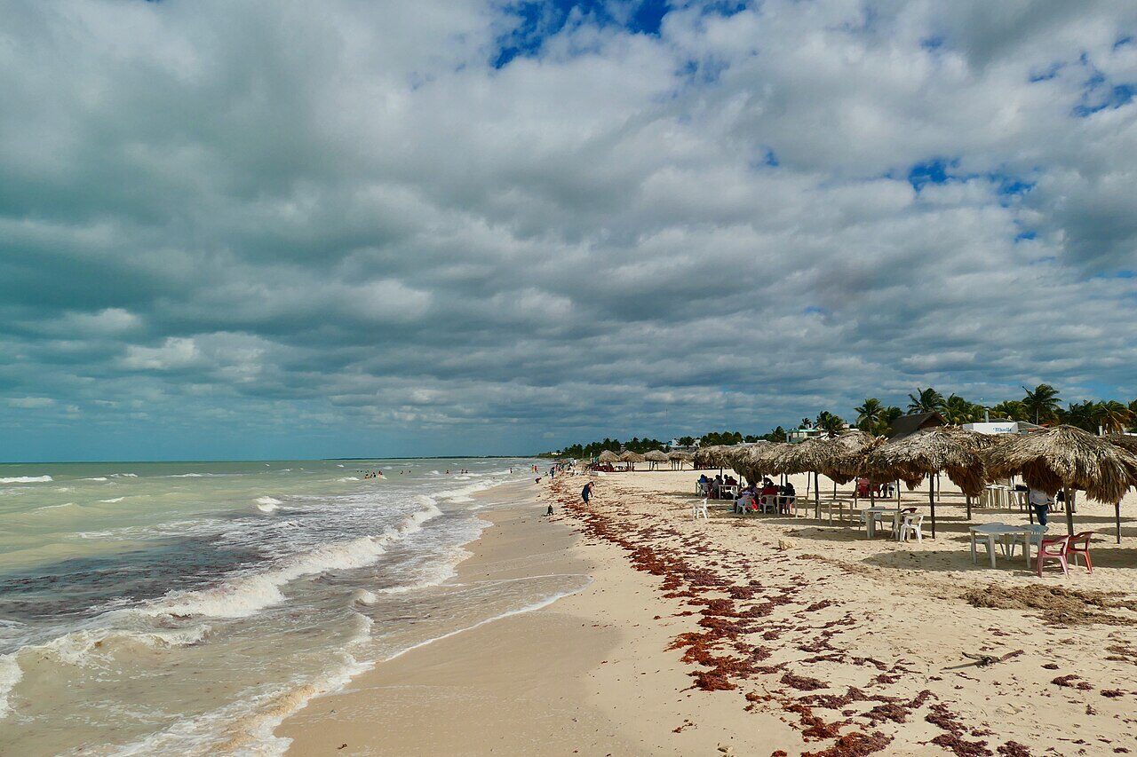 Buceo en Sisal Yucatán · Sitios, temporadas y certificaciones